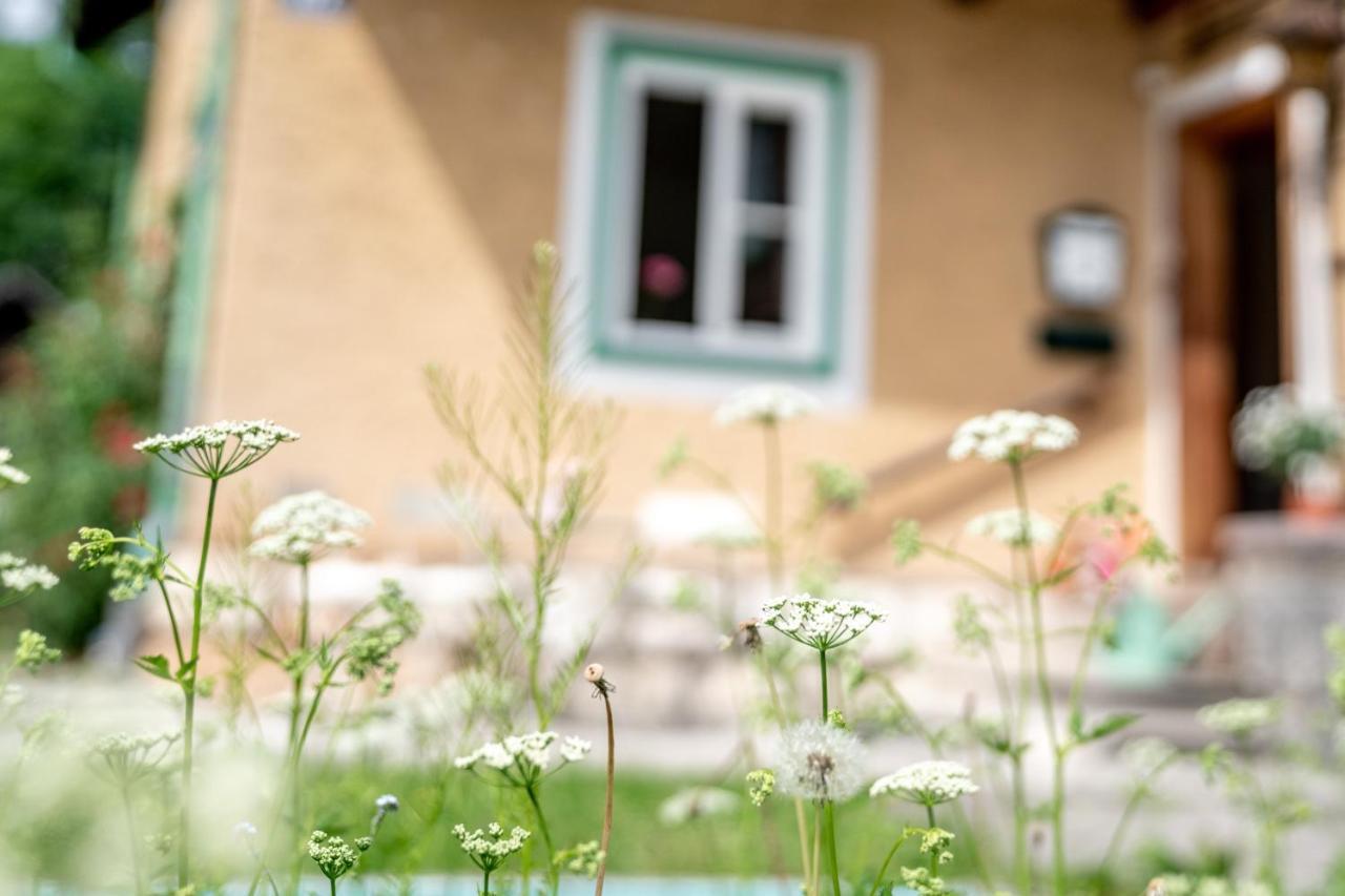 Family Hideaway Mit Baby- Und Kleinkindausstattung Apartment Hallstatt Exterior photo